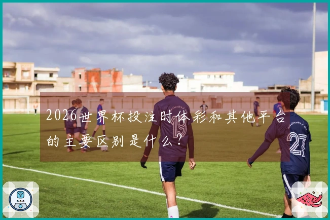 2026世界杯投注时体彩和其他平台的主要区别是什么？