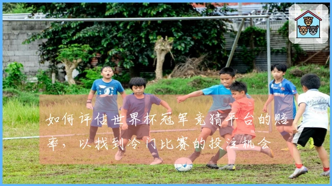 如何评估世界杯冠军竞猜平台的赔率，以找到冷门比赛的投注机会