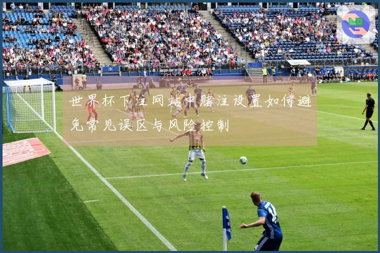 世界杯下注网站中赌注设置如何避免常见误区与风险控制